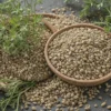 Health Benefits of Coriander Seeds